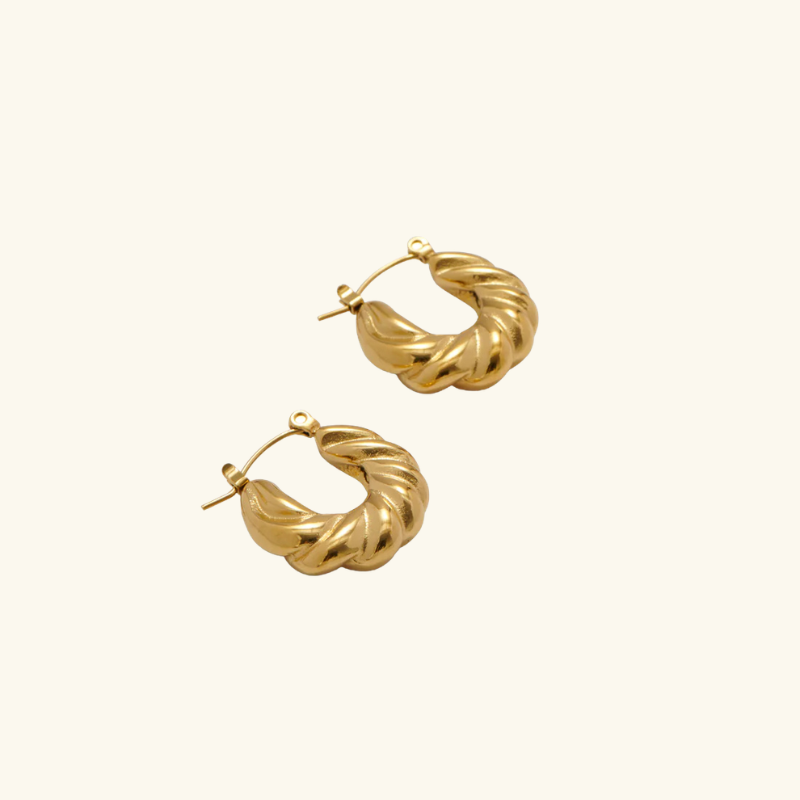 Boucles d’Oreilles Créoles Torsadées Femme – Acier Inoxydable