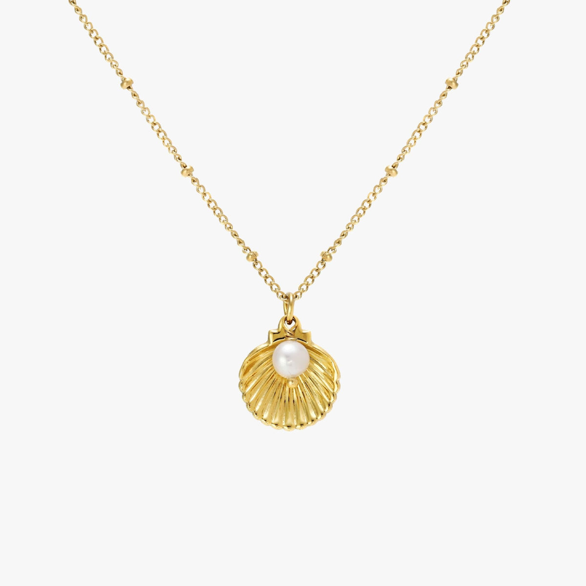 Collier Coquillage Perle d'Eau Douce Femme Acier Inoxydable