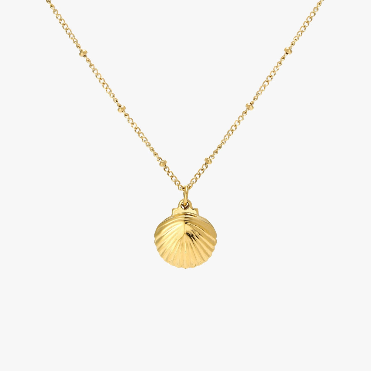Collier Coquillage Perle d'Eau Douce Femme Acier Inoxydable