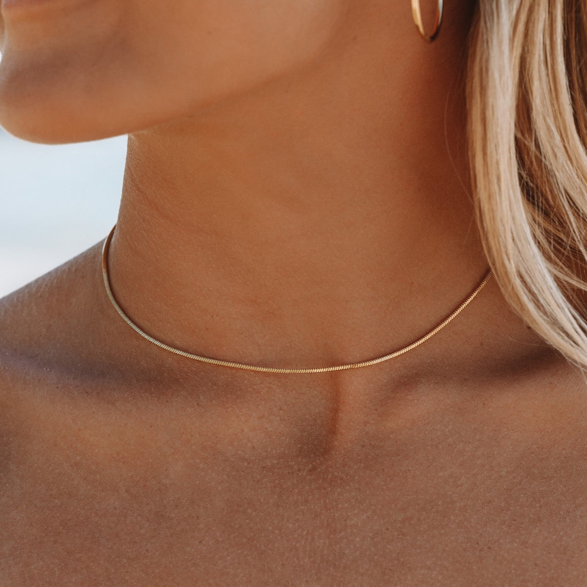 Collier Ras de Cou Maille Serpent Fine Femme Acier Inoxydable