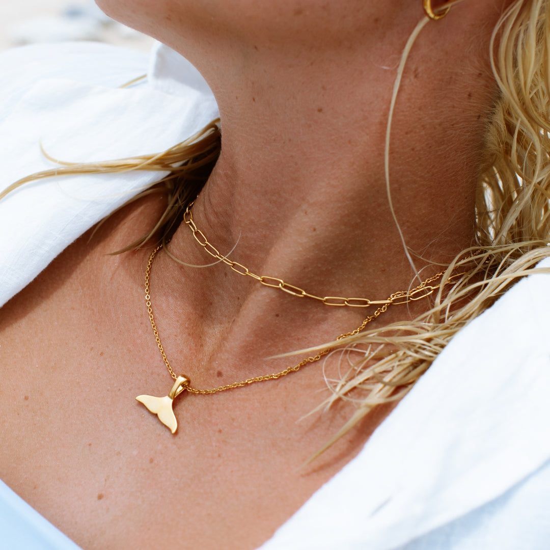 Collier Ras de Cou Maille Trombone Femme Acier Inoxydable