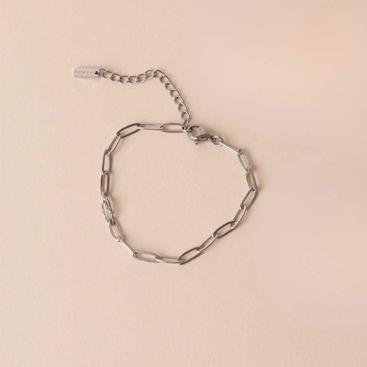 Bracelet Maille Trombone Femme Acier Inoxydable