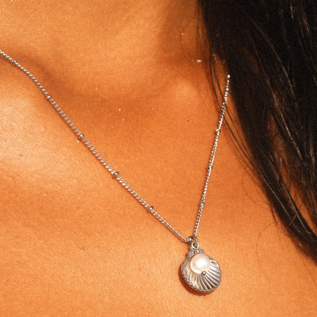 Collier Coquillage Perle d'Eau Douce Femme Acier Inoxydable