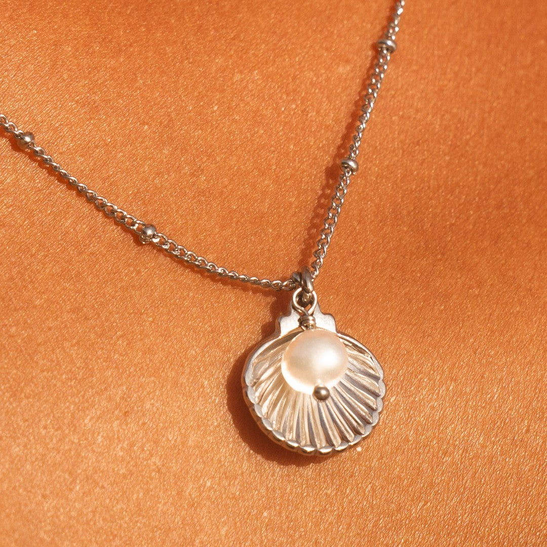 Collier Coquillage Perle d'Eau Douce Femme Acier Inoxydable