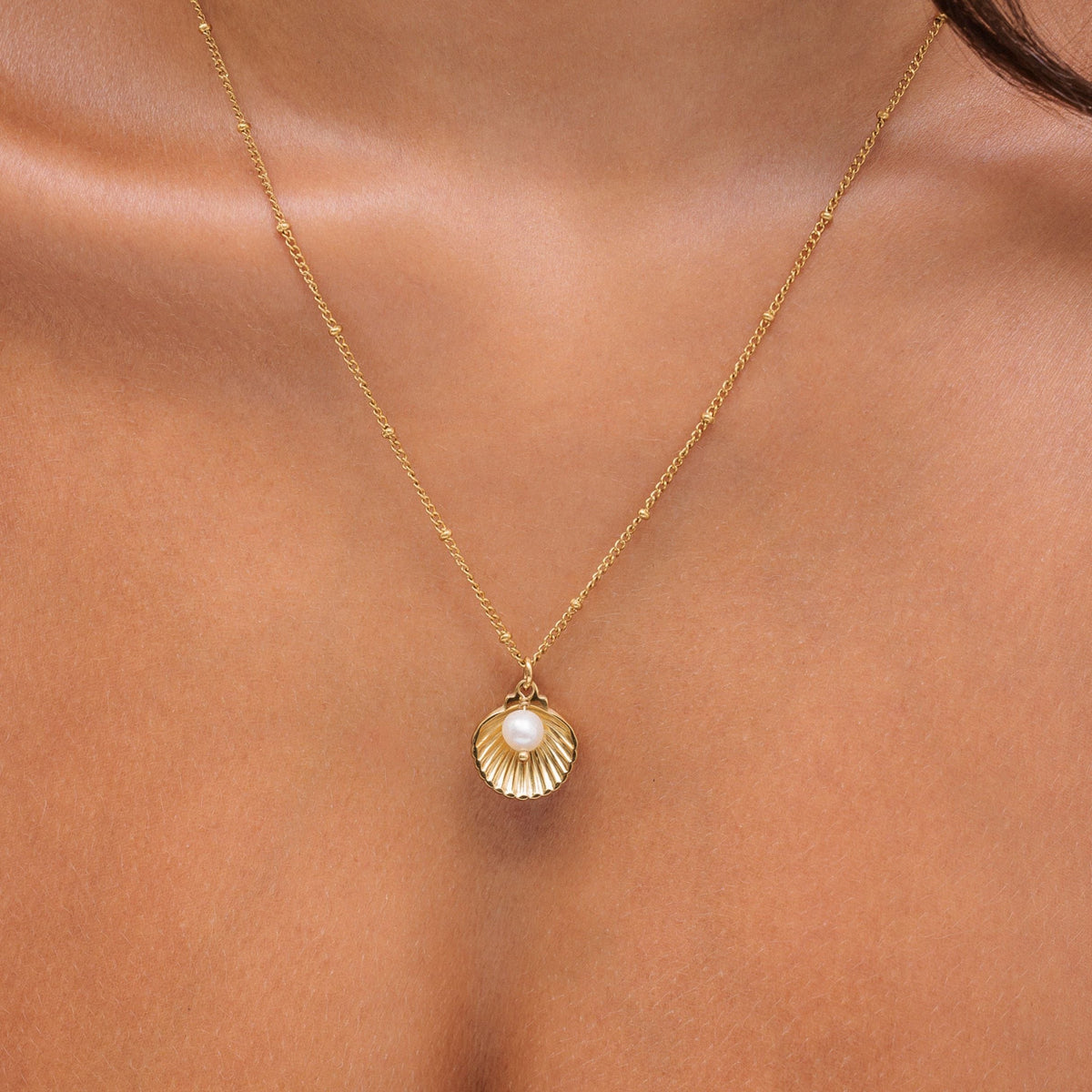 Collier Coquillage Perle d'Eau Douce Femme Acier Inoxydable
